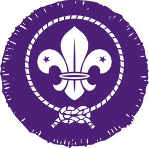 Scout membership award